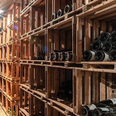 Ξενοδοχείο Piz Mitgel 3*