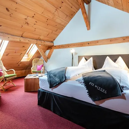 Piz Mitgel Hotel 3*