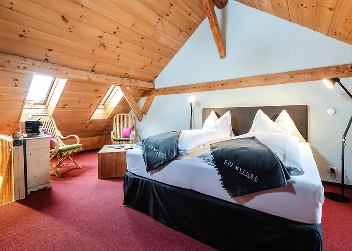 Piz Mitgel Otel 3*
